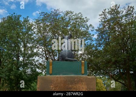 Die Rückansicht des berühmten Hundes auf einer Tucker Box Statue, Denkmal. In Gundagai, NSW, Australien. Stockfoto