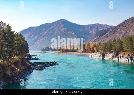 Schöner Blick auf den türkisfarbenen Katunfluss und die Berge an einem sonnigen Tag. Altai-Gebiet in Sibirien Stockfoto