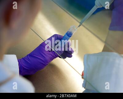 Labormitarbeiter, Labortests, Sars-CoV-19, Reagenzgläser, Laborhandschuhe, PCR, ELISA. Stockfoto