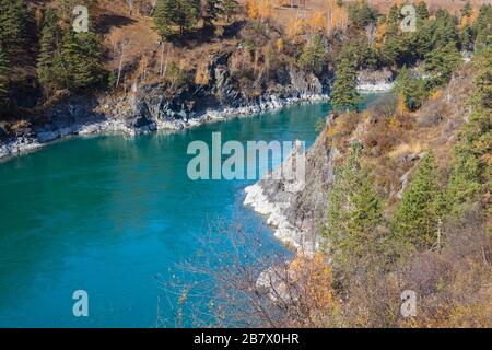 Der türkisfarbene Fluss Katun in den Altai-Bergen an einem sonnigen Tag. Altai-Gebiet in Sibirien Stockfoto