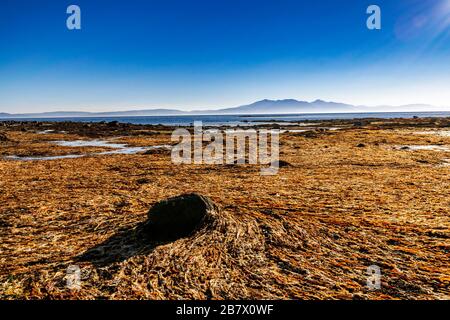 Malerische Silhouette der Insel Arran vom Strand aus bei Ebbe mit gelbem Algen in der Nähe von Seamill, Schottland. Stockfoto