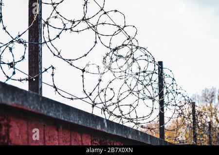 Stacheldraht spiralig auf einer roten Ziegelwand. Verschwommener konzeptioneller Hintergrund. Stockfoto