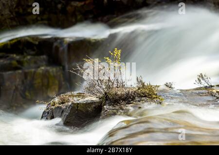 Fällt auf den Fluss Garbh uisge knapp unterhalb von Loch Monar am Kopf von Glen Strathrarar, der in den Fluss Farrar in den Highlands von Schottland leert Stockfoto