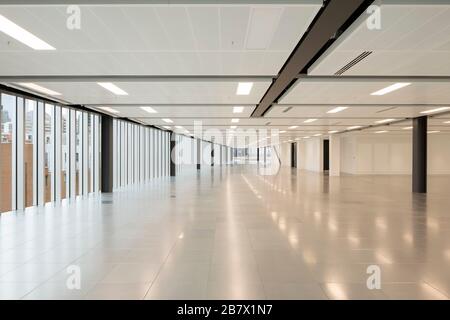 Innenbereich des Büros. Farringdon East Offices, Barbican, Großbritannien. Architekt: PLP-Architektur, 2020. Stockfoto