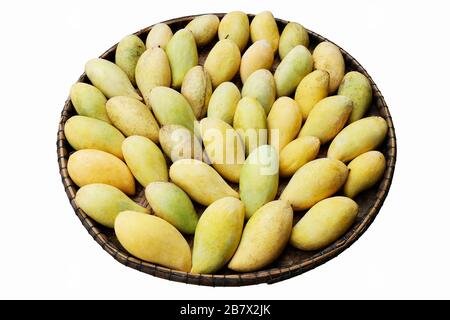 Mango-Pfähle reifen gelben Goldes im Dreschkorb auf weißem Grund Stockfoto
