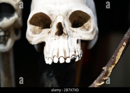 Perfekt imitierter Schädel, der an einem bewölkten Tag auf einem mittelalterlichen Festival in Deutschland fotografiert wurde Stockfoto
