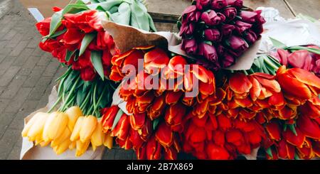 Viele mehrfarbige Tulpen blühen auf dem Markt. Womans Day and Mothers Day Konzept. Hintergrund der Natur. Stock-Foto für beliebige Zwecke. Stockfoto