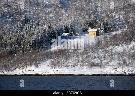In der Nähe von Finsnes Norwegen vom Netz leben. Stockfoto