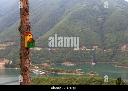 Vogelhaus aus grüngelbem Holz zu Hause. Stockfoto