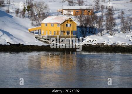 In der Nähe von Finsnes Norwegen vom Netz leben. Stockfoto