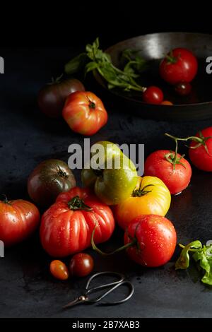 Erbsen Tomaten mit Basilikum frisch aus dem Garten gepflückt Stockfoto