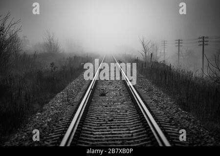 Die Perspektive der Bahngleise, die morgens in Nebel verschwindet, während die Katze in der Ferne versucht, die Bahnlinie zu überqueren - monochromes Bild Stockfoto