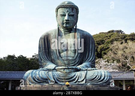 Kamakura Daibutsu, der große Buddha von Kamakura, Japan Stockfoto