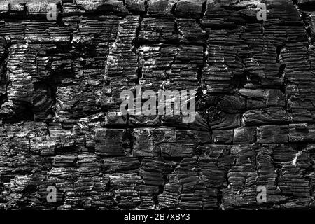 Verbrannte Holzwand nach einem Brand. Details mit gemusterter Holzoberfläche. Hintergrundtextur Stockfoto