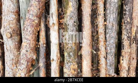 Brennholz auf großem Stapel, Draufsicht, schöne Holzstämme. Hintergrund gestapelter Holzstämme Draufsicht. Haufen gestapelte natürliche Sägebolzstämme zurück Stockfoto