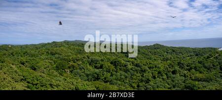 Panoramaansicht der Landschaft, Roatan, Honduras Stockfoto