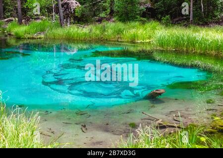 Lake of Geysers mit klarem türkisfarbenem Wasser. Schöner See im Wald des Altai-Gebirges in Sibirien Stockfoto