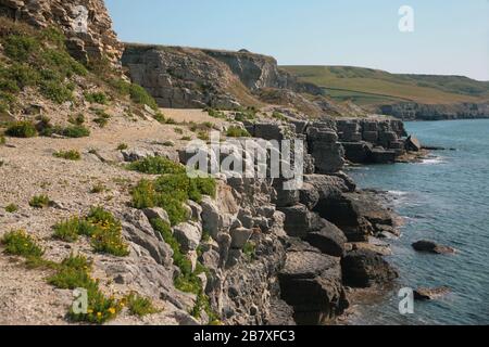 Winspit Quarry, in der Nähe von Worth Matravers, Insel Purbeck, Dorset Stockfoto