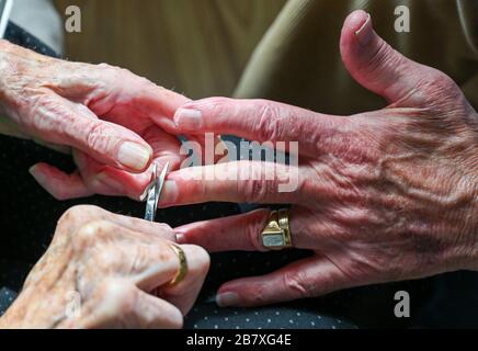 Ältere Paare in ihren Achtzigern schneiden sich zu Hause Fingernägel Stockfoto