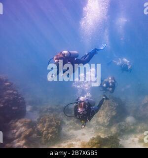 Tauchtaucher unter Wasser, Blue Channel Dive Site, Roatan, Honduras Stockfoto