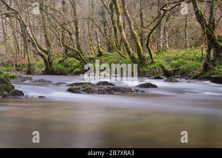 Ein Springbild des Flusses Barle in der Nähe von Mounsey Castle bei Dulverton, in Somerset, England, Teil des Exmoor-Nationalparks Stockfoto