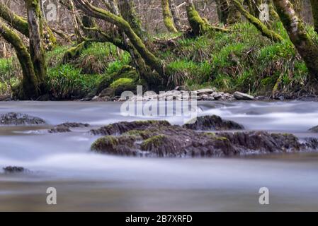 Ein Springbild des Flusses Barle in der Nähe von Mounsey Castle bei Dulverton, in Somerset, England, Teil des Exmoor-Nationalparks Stockfoto