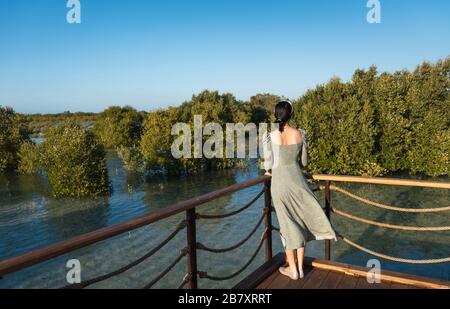 Weiblicher Tourist, der Mangrove Walk, den öffentlichen Park am Meer in Abu Dhabi, VAE, besucht Stockfoto