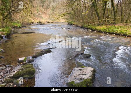 Ein Springbild des Flusses Barle in der Nähe von Mounsey Castle bei Dulverton, in Somerset, England, Teil des Exmoor-Nationalparks Stockfoto