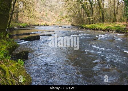 Ein Springbild des Flusses Barle in der Nähe von Mounsey Castle bei Dulverton, in Somerset, England, Teil des Exmoor-Nationalparks Stockfoto