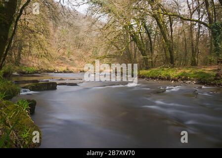 Ein Springbild des Flusses Barle in der Nähe von Mounsey Castle bei Dulverton, in Somerset, England, Teil des Exmoor-Nationalparks Stockfoto