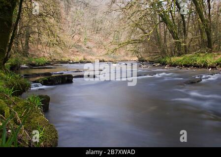 Ein Springbild des Flusses Barle in der Nähe von Mounsey Castle bei Dulverton, in Somerset, England, Teil des Exmoor-Nationalparks Stockfoto