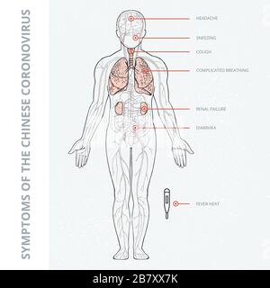 Eine schematische Darstellung des menschlichen Körpers mit einer Infografik der Symptome des Coronavirus kovid 19. Stock Vektor