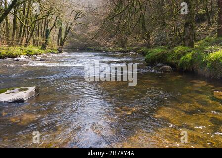 Ein Springbild des Flusses Barle in der Nähe von Mounsey Castle bei Dulverton, in Somerset, England, Teil des Exmoor-Nationalparks Stockfoto