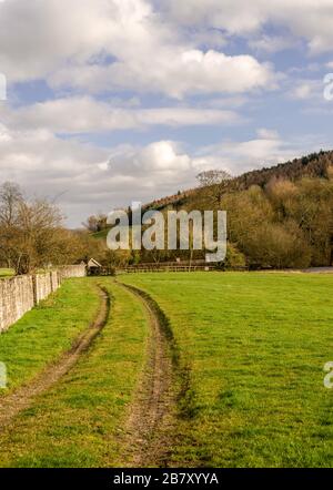Zwei Reifenspuren verlaufen durch ein Feld neben einer Wand. Ein Wald auf einem Hügel liegt in der Ferne und ein bewölkter Himmel ist darüber. Stockfoto