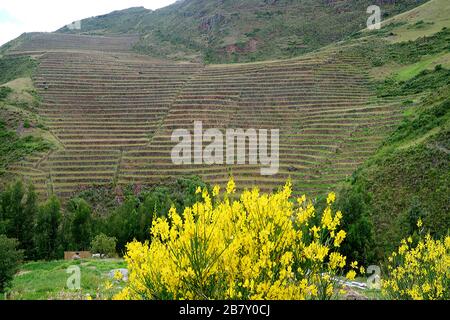 Mehrere landwirtschaftliche Terrassen am Berghang des Heiligsten Tals der Inkas in der Region Cuzco, Peru Stockfoto