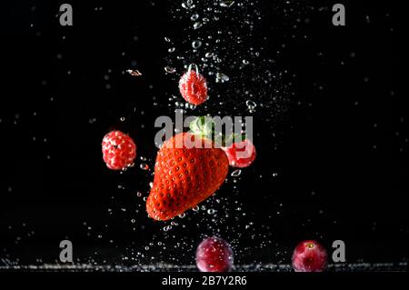 Rote Erdbeeren fallen auf schwarzem Grund in Wasser. Frische Früchte spritzen Stockfoto