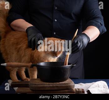 Erwachsene rote Katze sitzt auf einem Tisch, auf dem ein Koch in einer schwarzen Uniform Essen in einem gusseisernen Skillet zubereitet Stockfoto