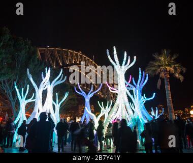 Arclight by Studio Workshop unter der Sydney Harbour Bridge während des Vivid Festivals Stockfoto