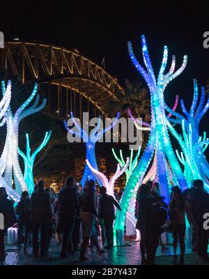 Arclight by Studio Workshop unter der Sydney Harbour Bridge während des Vivid Festivals Stockfoto