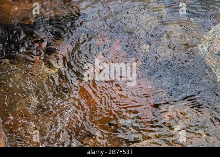 Wasser wellt sich in einem kleinen Bach, während es über braune und rötliche Felsen darunter fließt. Die transparente Oberfläche zeigt die Form und Struktur der Wasseroberfläche Stockfoto