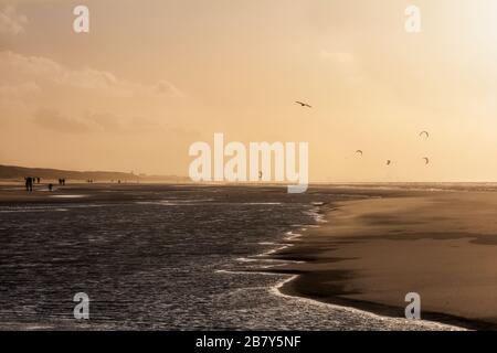 Blick auf den Nordseestrand an einem windigen Wintertag bei Sonnenuntergang, Menschen, Kitesurfen und Möwen. Noordwijk, Niederlande Stockfoto