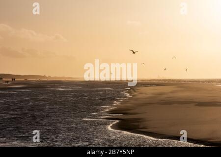 Blick auf den Nordseestrand an einem windigen Wintertag bei Sonnenuntergang, Menschen, Kitesurfen und Möwen. Noordwijk, Niederlande Stockfoto