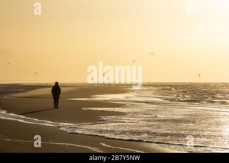 Blick auf den Nordseestrand an einem windigen Wintertag bei Sonnenuntergang, Menschen, Kitesurfen und Möwen. Noordwijk, Niederlande Stockfoto