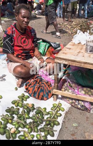 dh WEWAK PAPUA NEW GUINEA Woman Händler mit Betel Nut Display auf dem lokalen Markt Stockfoto