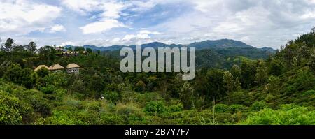 Panoramablick auf ein Tal mit Teeplantage und tropischen Wäldern auf dem Weg zum Little Adam's Peak in Ella Stockfoto
