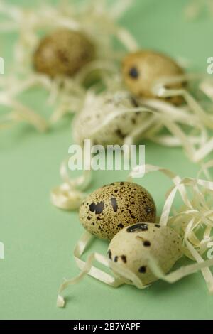 Wachteleier in Strohnähe auf grünem Hintergrund.Osterfeiertagssymbol.Osterbegrüßungskarte,Kopierraum.Makrofoto. Stockfoto