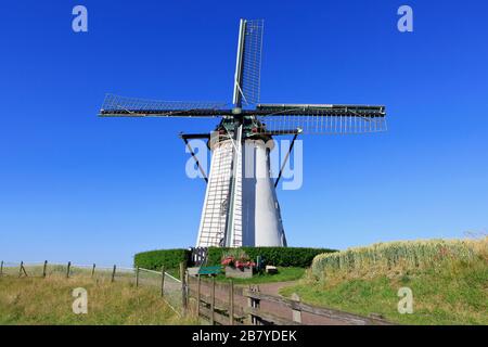 Die weiße runde Mühle mit dem Namen "Buiten Verwachting - jenseits der Erwartungen" (1874) in Nieuw- en Sint Joosland (Zeeland), Niederlande Stockfoto