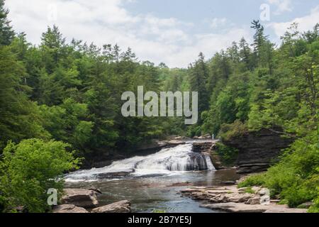 Swallow Falls State Park, Maryland Stockfoto