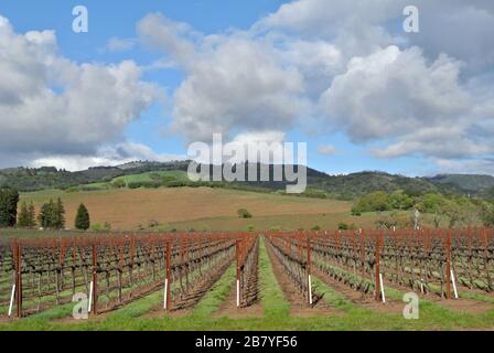 Highway 12 Weingut in sonoma County Wine Country california Stockfoto