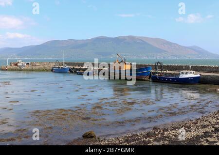 Carlingford Lough an einem hellen Herbsttag mit blauem Himmel und Fischerbooten, die neben dem Steinhafen am Greer's Quay, einem kleinen lokalen Hafen, vergraben sind. Stockfoto